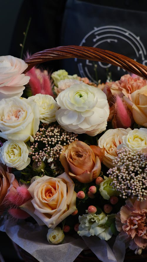Bezpłatne Darmowe zdjęcie z galerii z elegancki, flors sortides, fotografia kwiatowa Zdjęcie z galerii