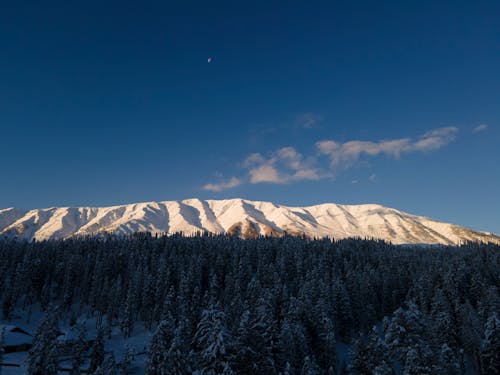 An Aerial Photography of a Snow Covered Mountain Near the Green Trees Under the Blue Sky