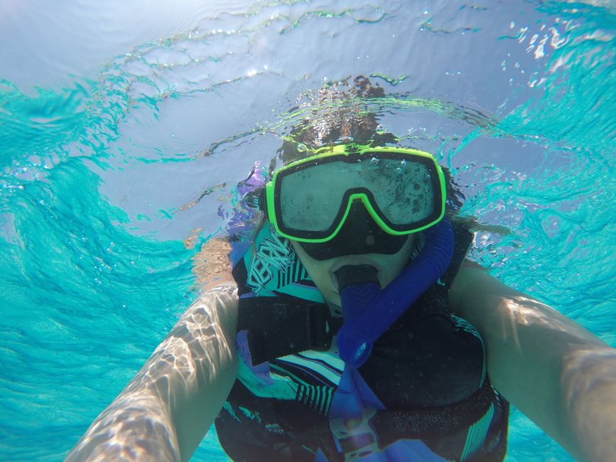 Mahahual Mexico: 2026 Travel Guide to Costa Maya Snorkeler explores vibrant blue waters of Cayman Islands.