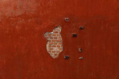 Artboard photo — Gustavo Salazar on Pexels