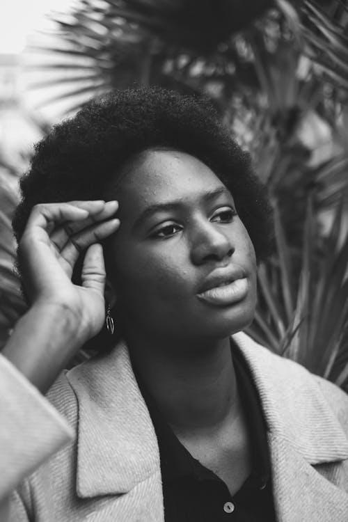 Foto profissional grátis de cabelo afro, escala de cinza, fechar-se