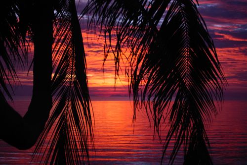 Free Vibrant sunset behind palm trees with reflections on ocean waves, creating a tropical silhouette. Stock Photo