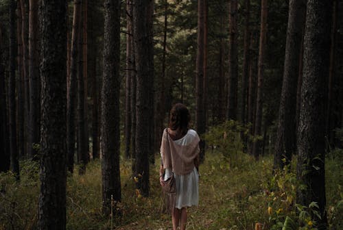 Free A Woman Standing in the Woods Stock Photo