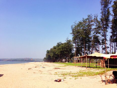 Beautiful empty beach with clear sky, sandy shore, and tree-lined coast.