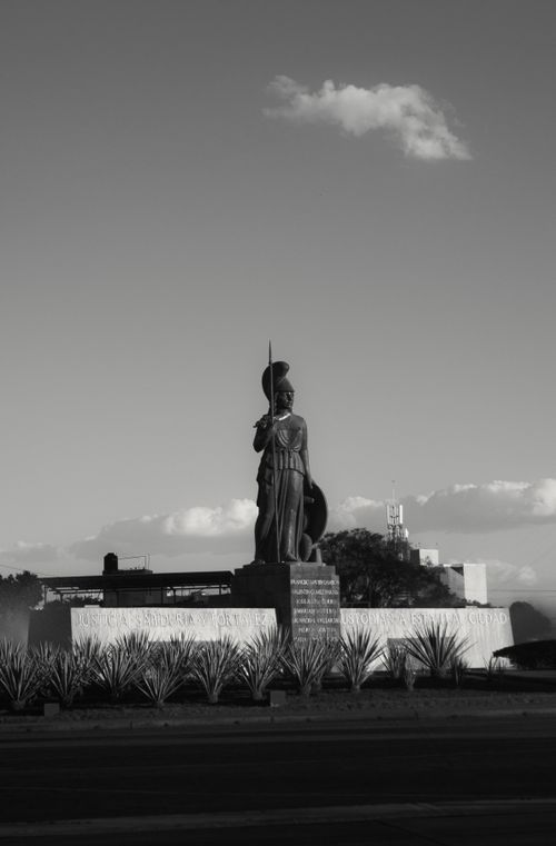Free Black and white photo of Minerva monument in Guadalajara, capturing its majestic presence. Stock Photo