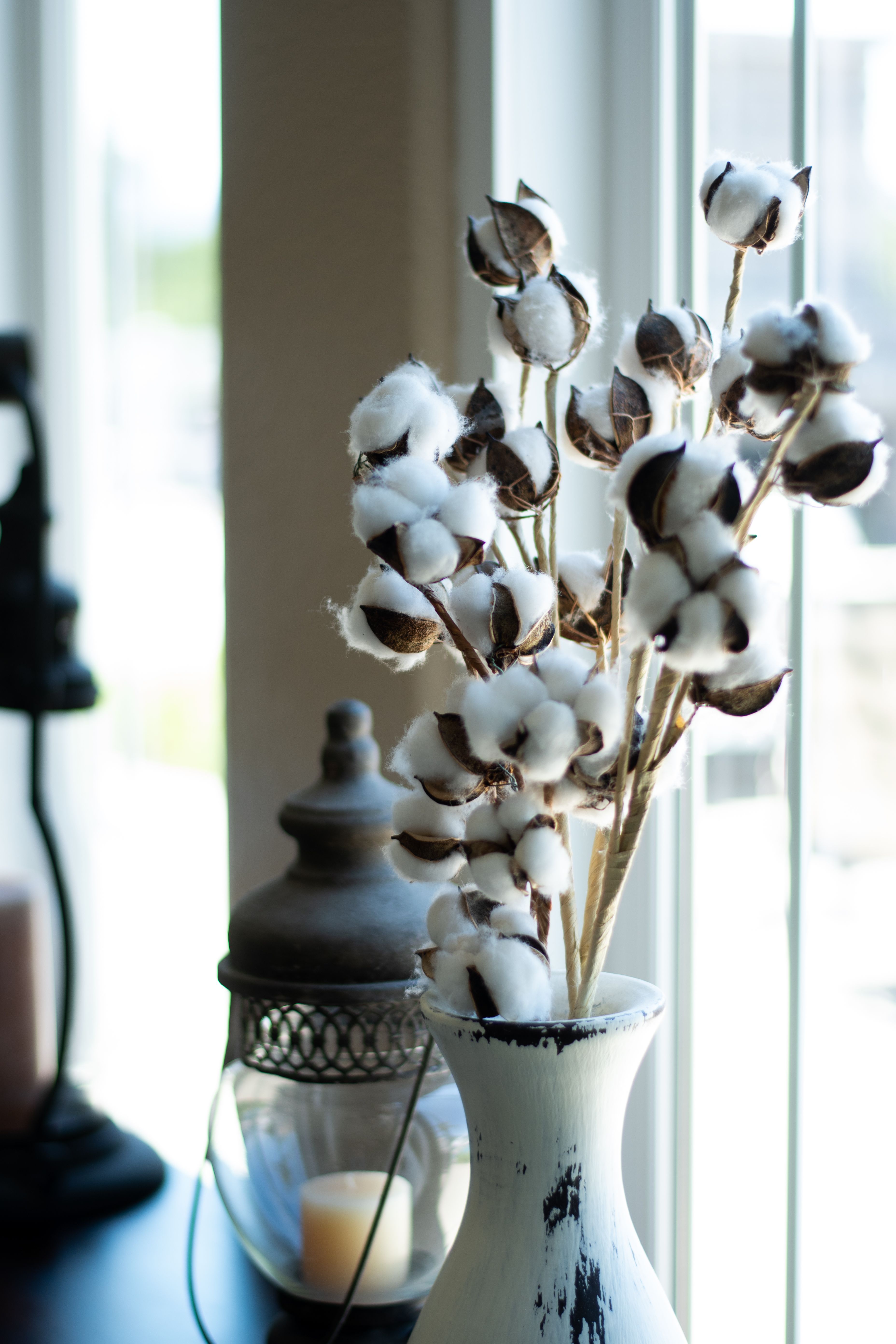 Aesthetic white cotton stems in a vintage vase beside a window, exuding serenity and charm.