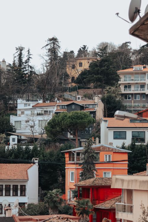 Free Houses nestled on a hillside with lush greenery and architectural variety in view. Stock Photo