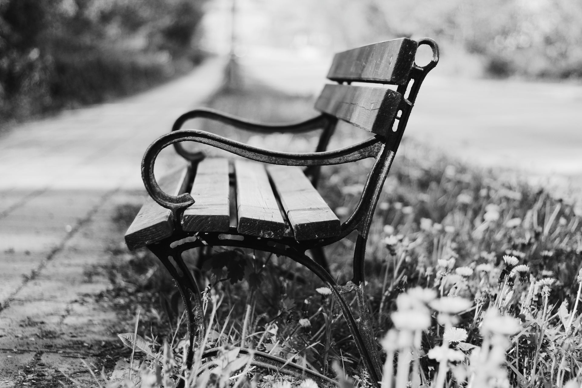 A monochrome image of a vintage wooden bench in a tranquil garden, surrounded by flowers and grass.