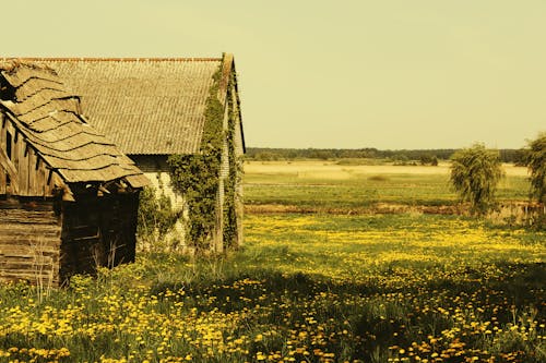 Kostenloses Stock Foto zu dorf