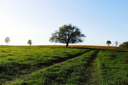 Gratis stockfoto met landschap