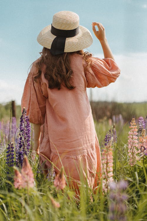 Gratis lagerfoto af blomster, græs, hat