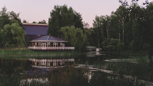 Kostnadsfri bild av gräs, gröna träd, landskap