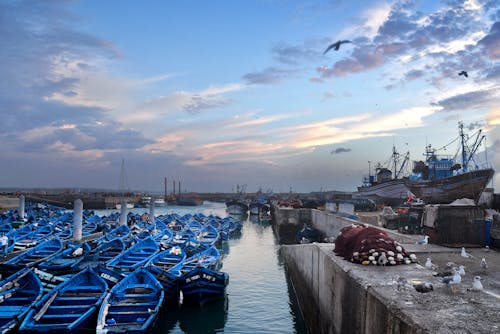 Бесплатное стоковое фото с водный транспорт, гавань, лодки