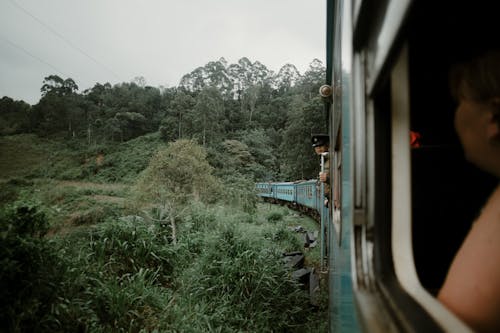 A Blue Train on Railroad Near Green Trees