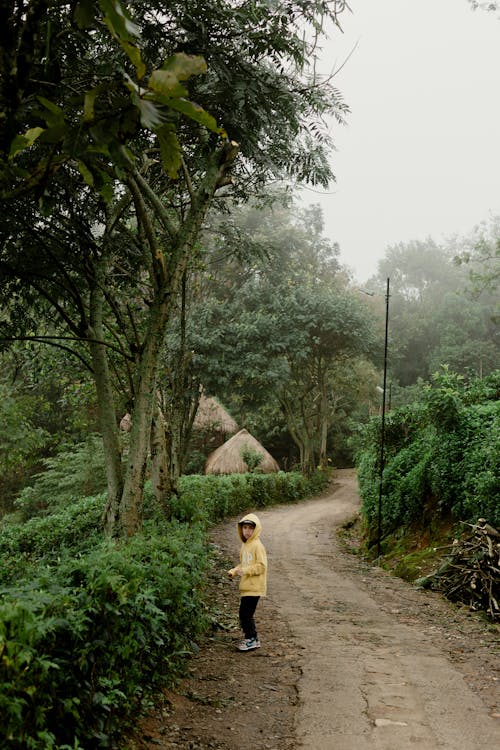 A Child Standing on Pathway Between Green Trees