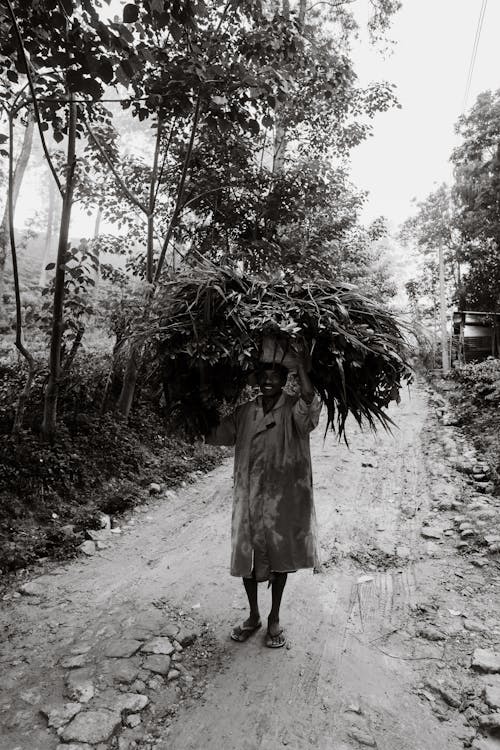 Man Carrying Leaves