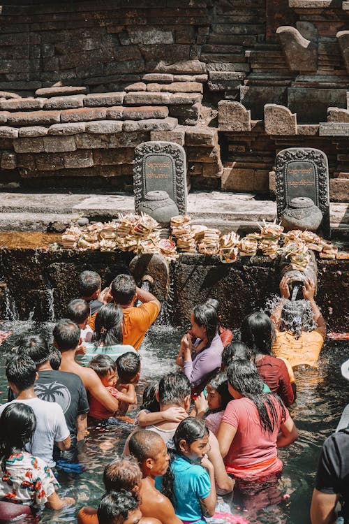 Free stock photo of adult, buddha, ceremony