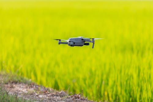 Free Drone Hovering on Green Grassland Stock Photo