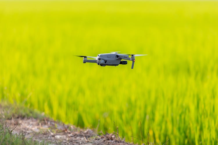 Drone Hovering On Green Grassland