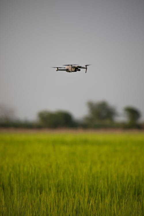 Free A Drone Hovering Over a Grassland Stock Photo