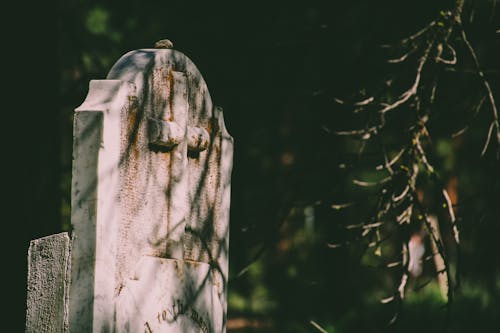 Free Selective Focus Photography of Tombstone Stock Photo