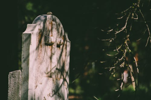 Fotografía De Enfoque Selectivo De Tombstone