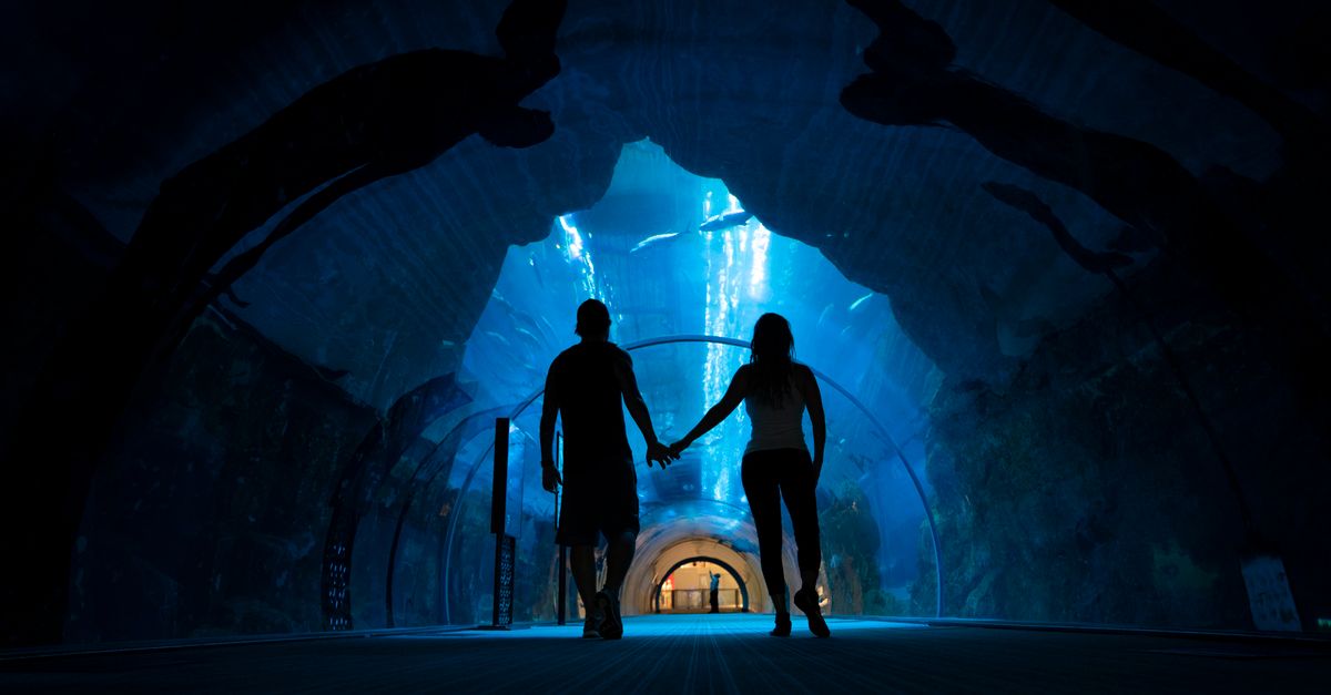 A couple holds hands while walking through an underwater aquarium tunnel, creating a romantic silhou