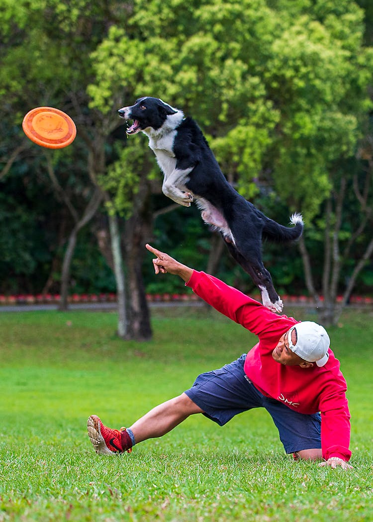 A Man Playing Frisbee With His Dog On The Field