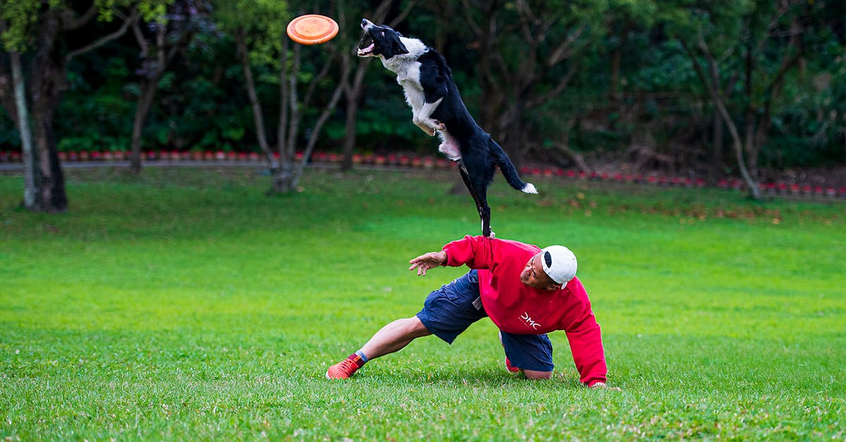 運動彩券熱潮引爆銷售!突破643億紀錄 🎉💰