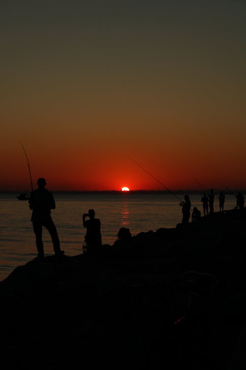 Free Silhouette of People Fishing During Sunset Stock Photo