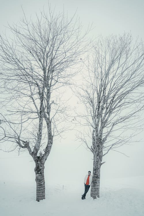 A Man Leaning on the Leafless Tree
