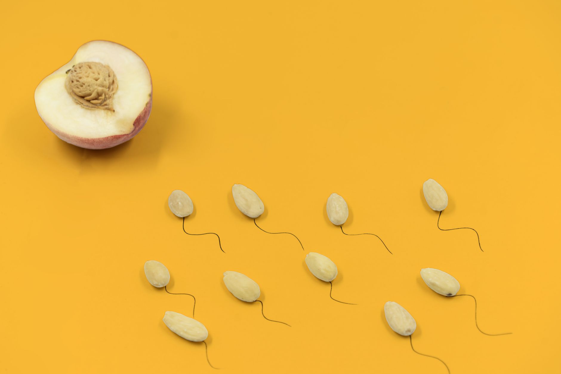 How Does Kisspeptin Work? Hormonal Science Explained