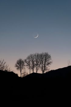 Silhouette of bare trees against a crescent moon in Irouléguy, France during twilight.