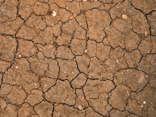 Free Dried and Cracked Brown Soil  Stock Photo