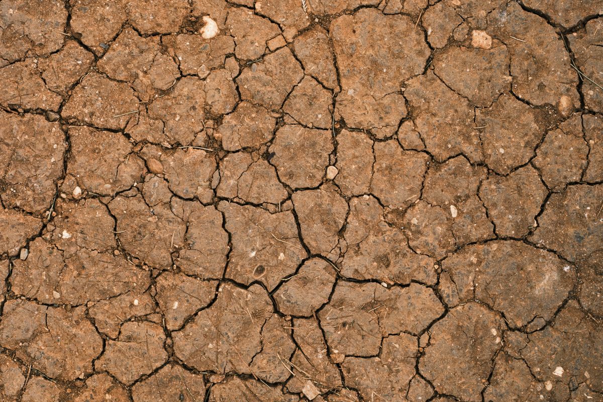 Sol argileux : comment l'améliorer ? - Gérer l’eau, le drainage et le paillage