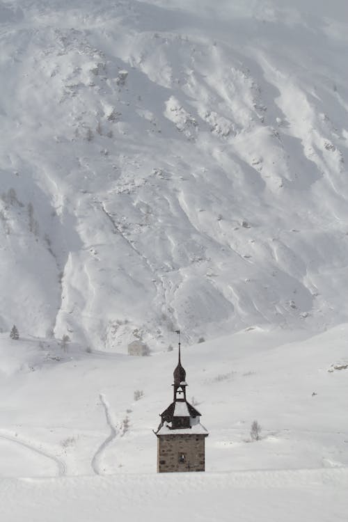 Immagine gratuita di campanile, congelato, coperto di neve