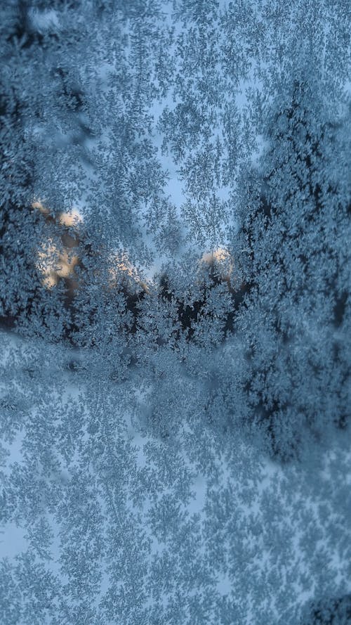 Kostenloses Stock Foto zu fenster, frost, gefroren