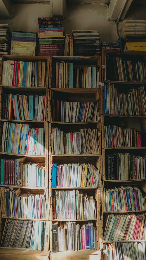 Foto profissional grátis de arrumado, dentro de casa, estantes de livros