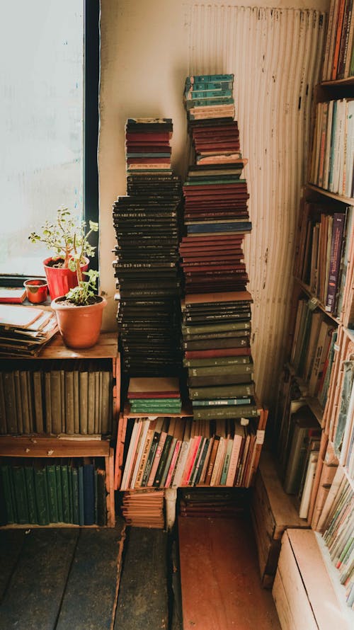 A Stack of Books Near the Shelves