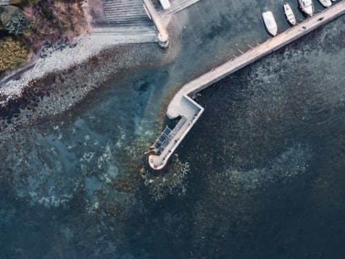 Pier and Motorboats Moored on Shore