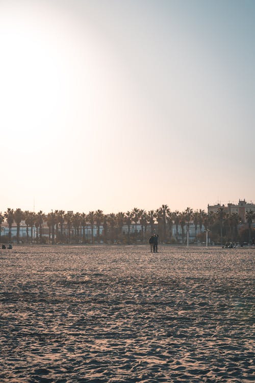 Sunlight over Beach at Sunset