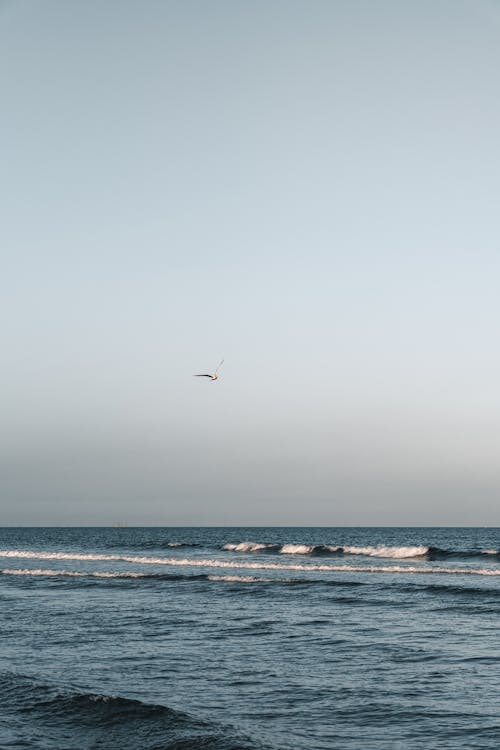Бесплатное стоковое фото с вертикальный выстрел, волны, летающий