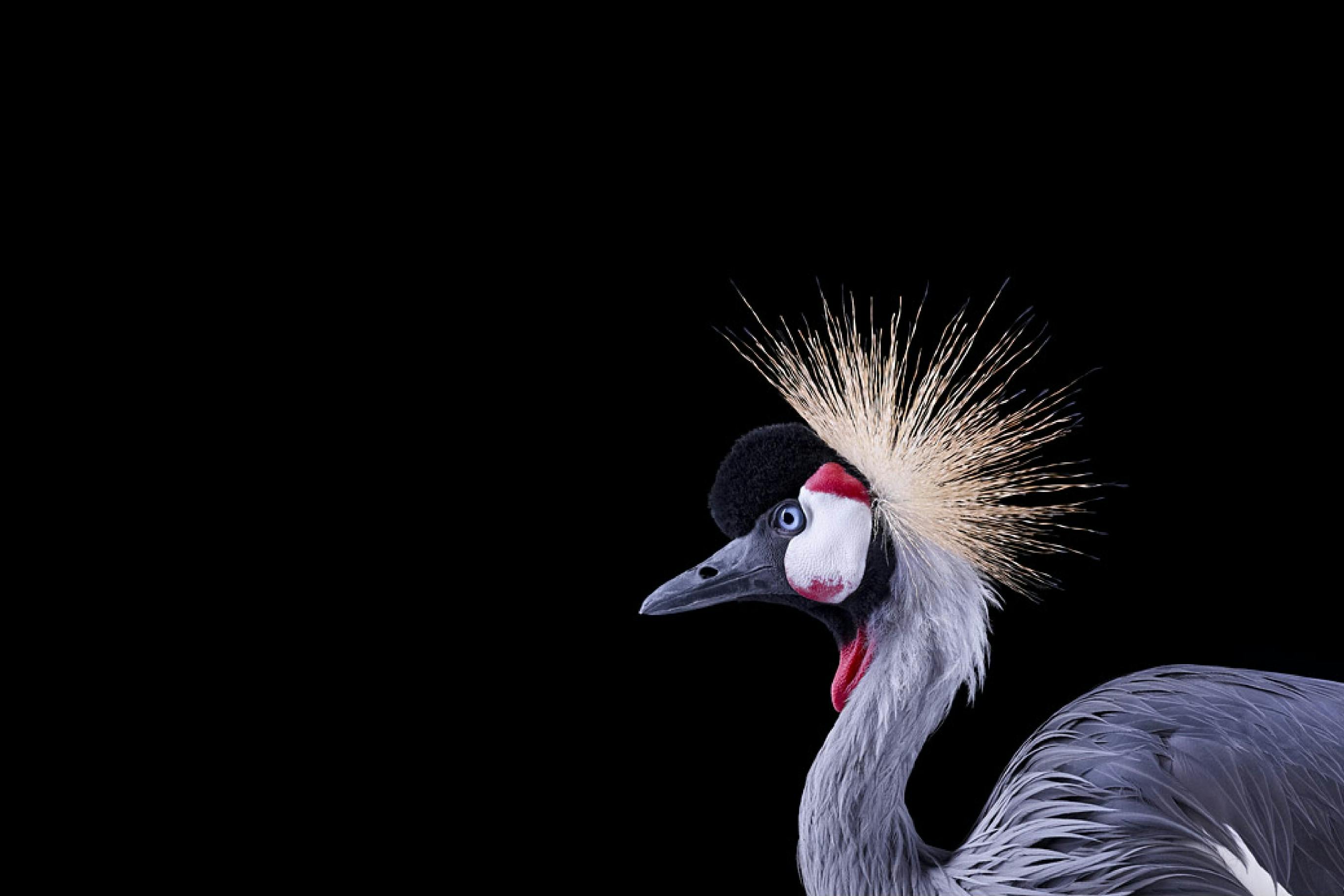 transactions rapides