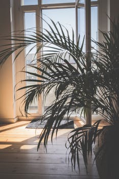 A contemporary interior space featuring a large palm plant cast in sunlight, creating a warm ambiance.