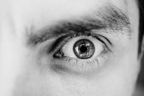 Grayscale Photo of Person's Left Eye