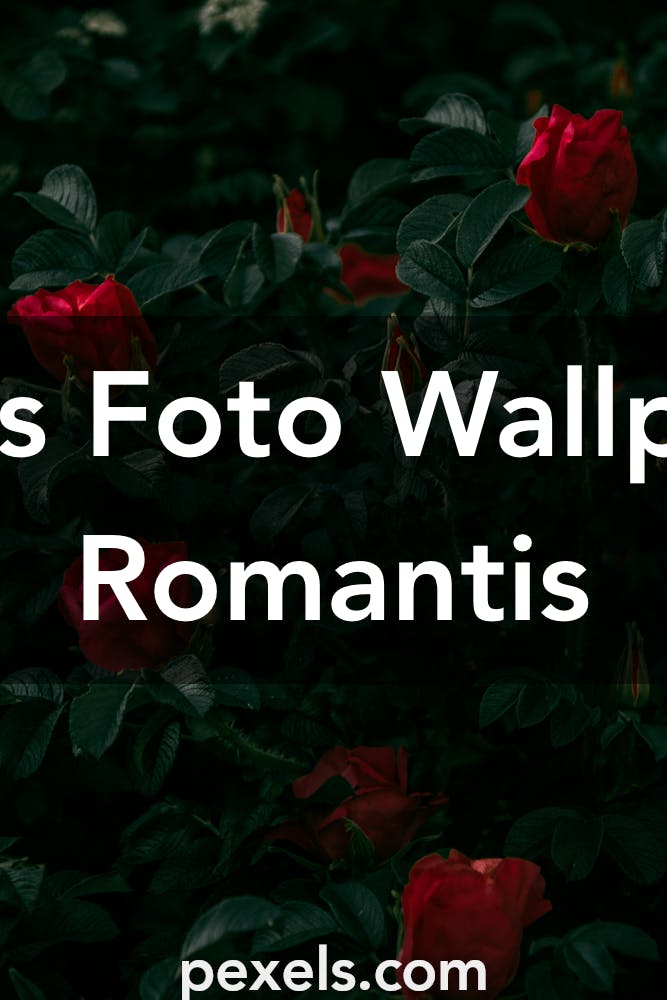 1000 Wallpaper Romantis Foto Pexels Foto Stok Gratis