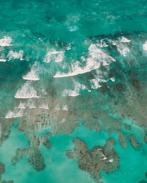 Foto d'estoc gratuïta de aigua, foto des d'un dron, fotografia aèria