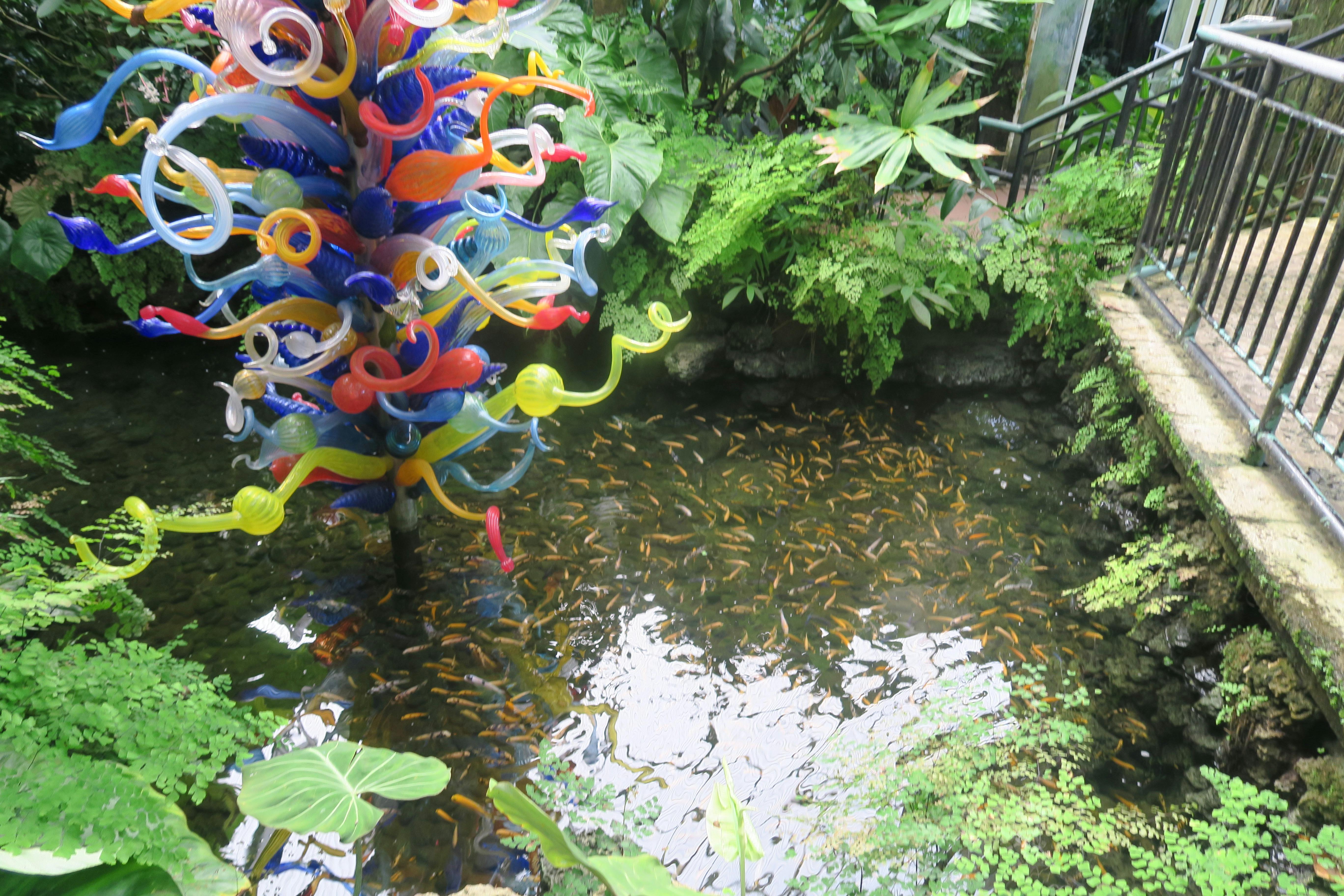 Free stock photo of fish pond, glass art, pond