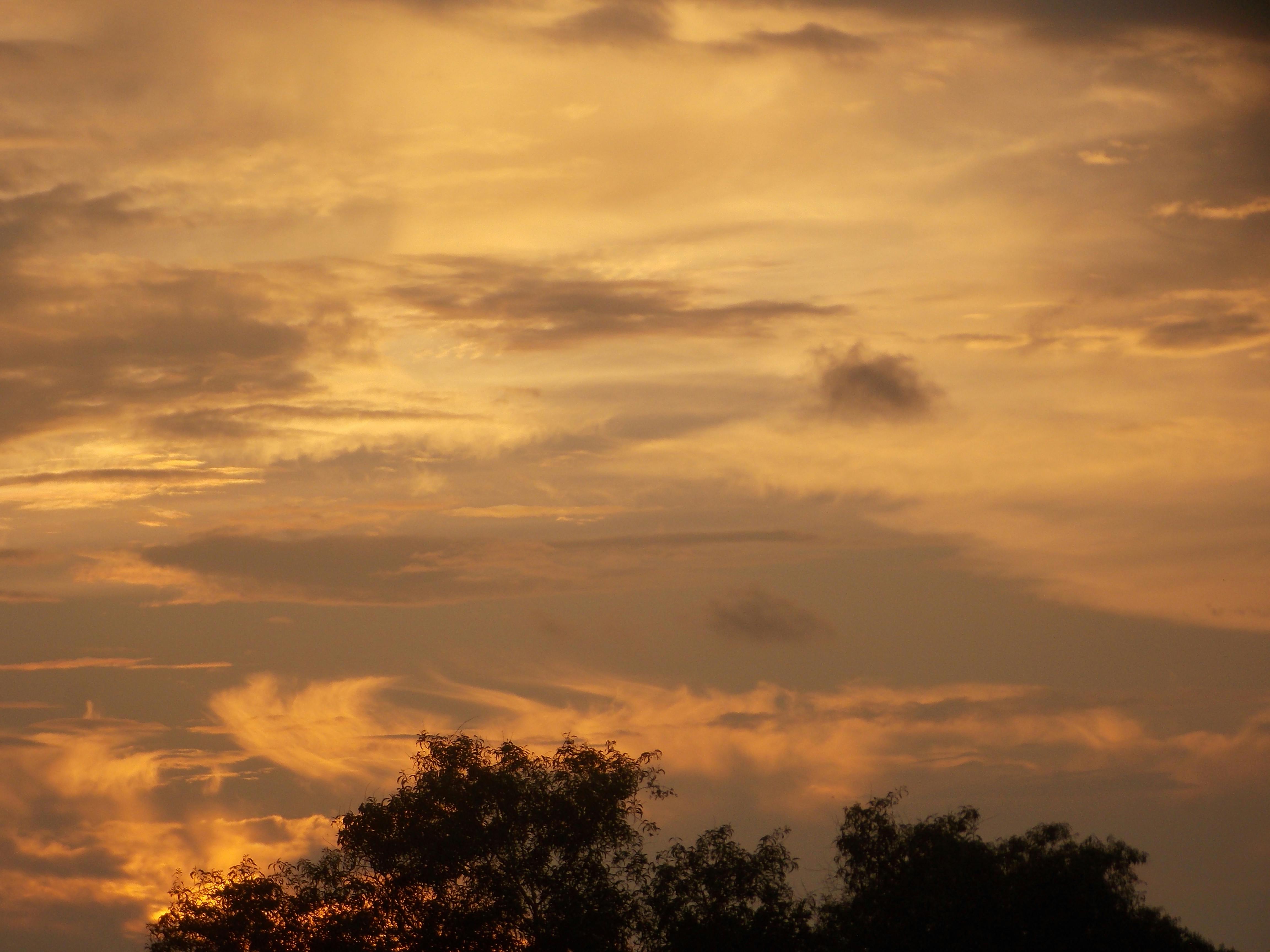 Free stock photo of atmospheric evening, evening, evening sky