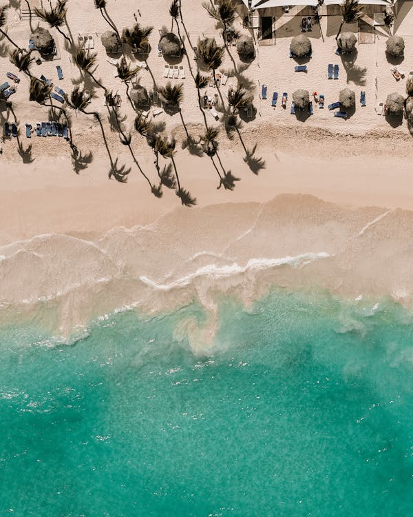 dalgalar, deniz kıyısı, dikey atış içeren Ücretsiz stok fotoğraf